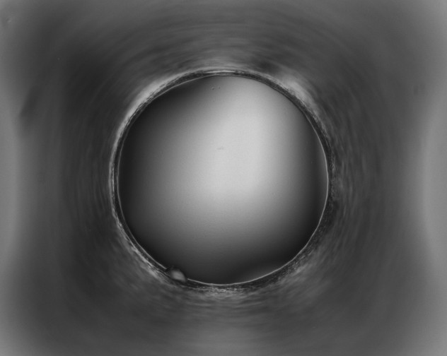 X0000087021191200704161555