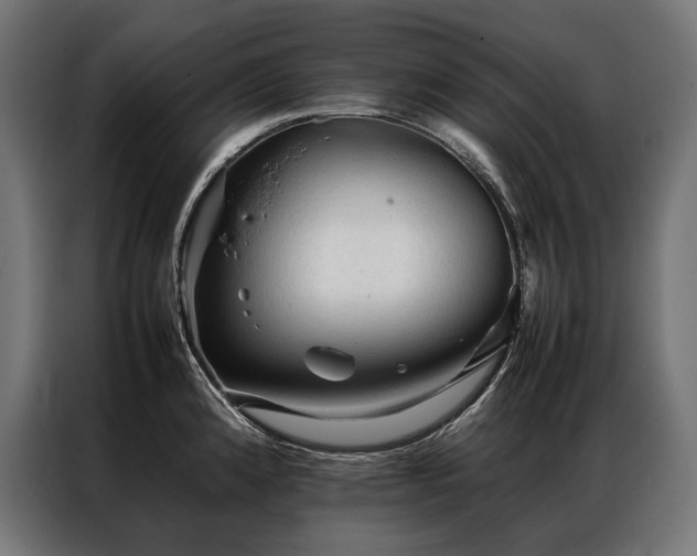 X0000087021192200704161555