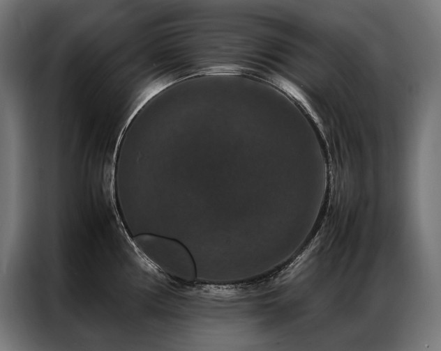 X0000087021194200704161555