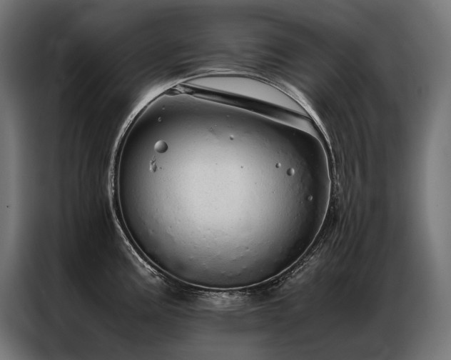 X0000087021195200704161555