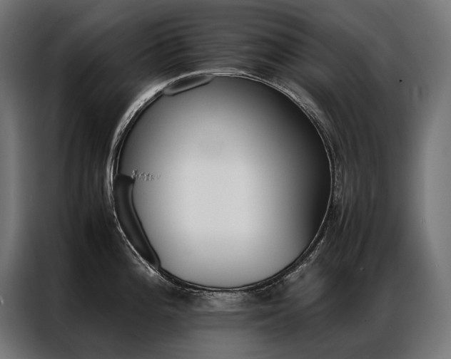 X0000087021196200704161555