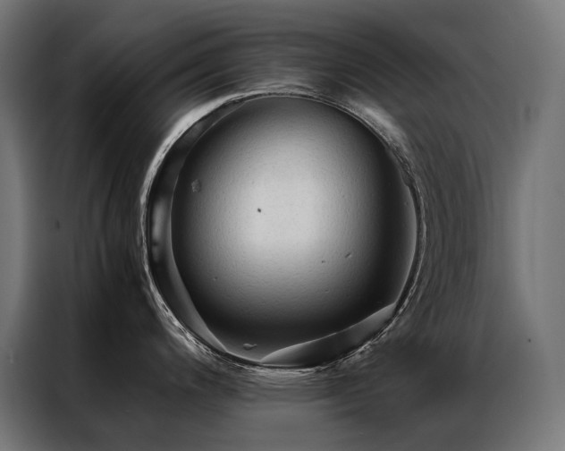 X0000087021200200704161555