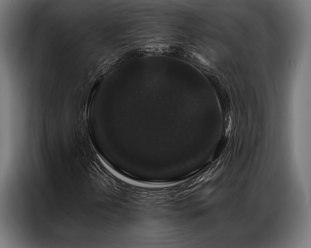 X0000087021202200704161555