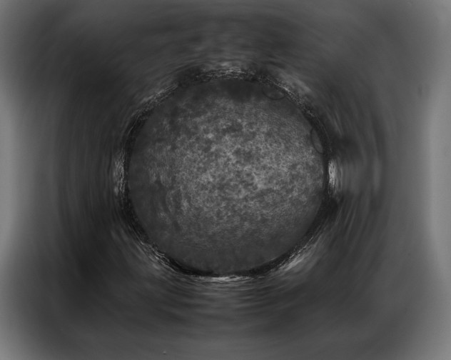 X0000087021203200704161555