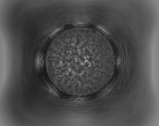 X0000087021204200704161555