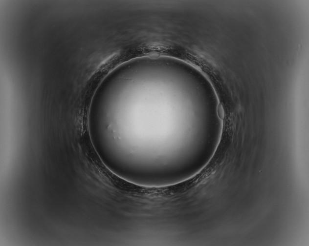 X0000087021205200704161555