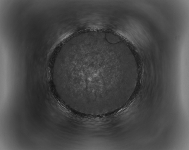 X0000087021207200704161555