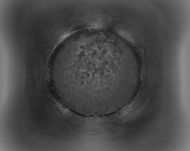 X0000087021208200704161555