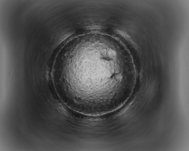 X0000087021209200704161555