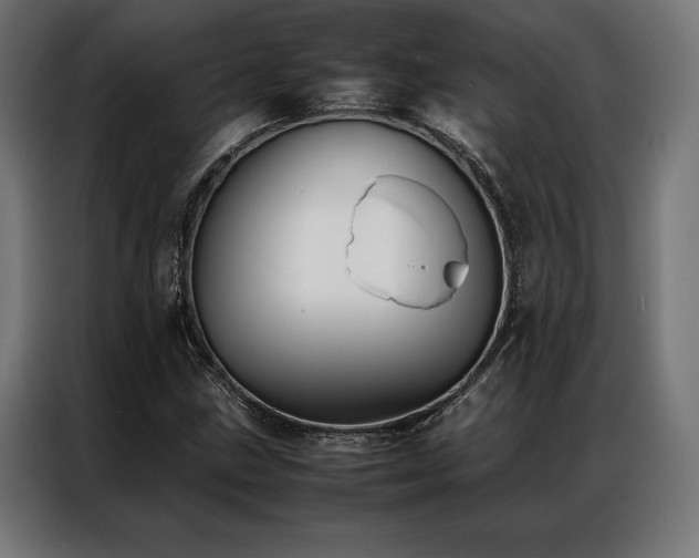 X0000087021211200704161555
