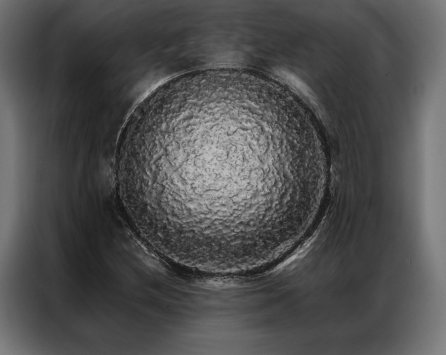 X0000087021212200704161555