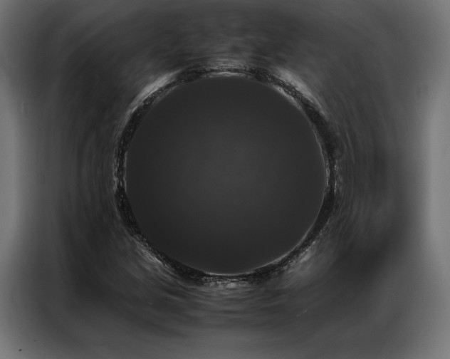X0000087021213200704161555