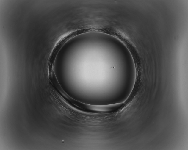 X0000087021214200704161555
