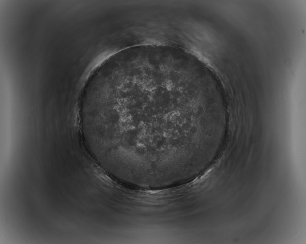 X0000087021215200704161555