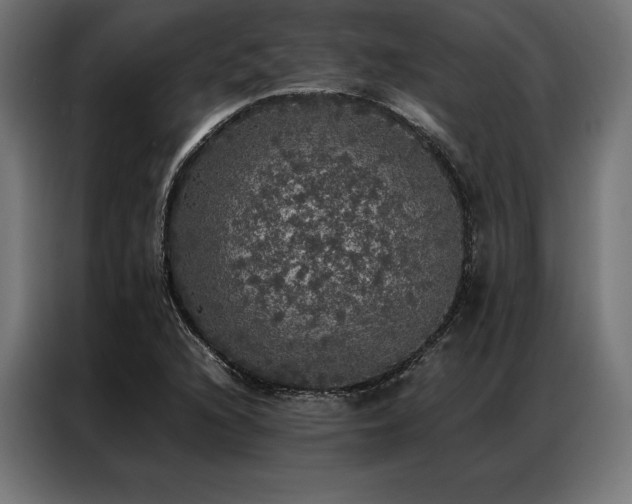 X0000087021216200704161555