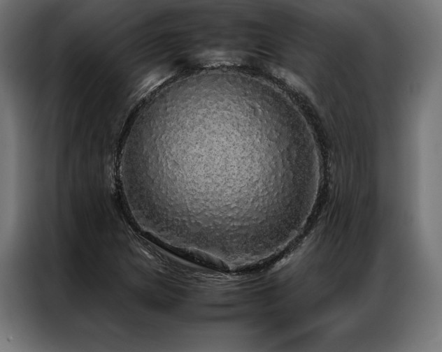 X0000087021217200704161555