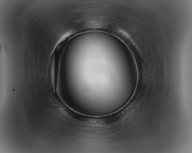 X0000087021218200704161555