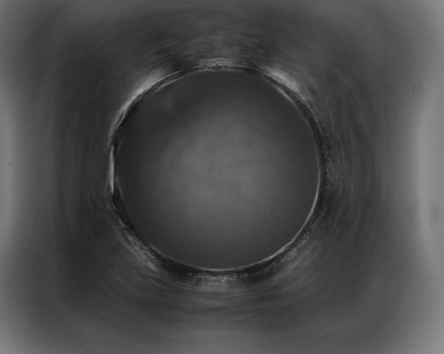 X0000087021219200704161555