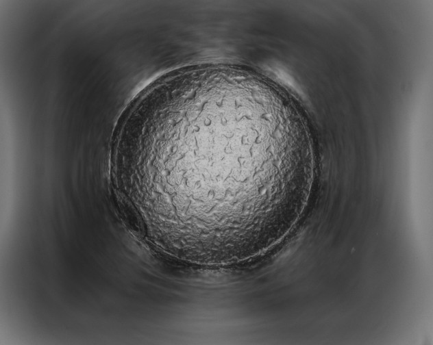X0000087021220200704161555