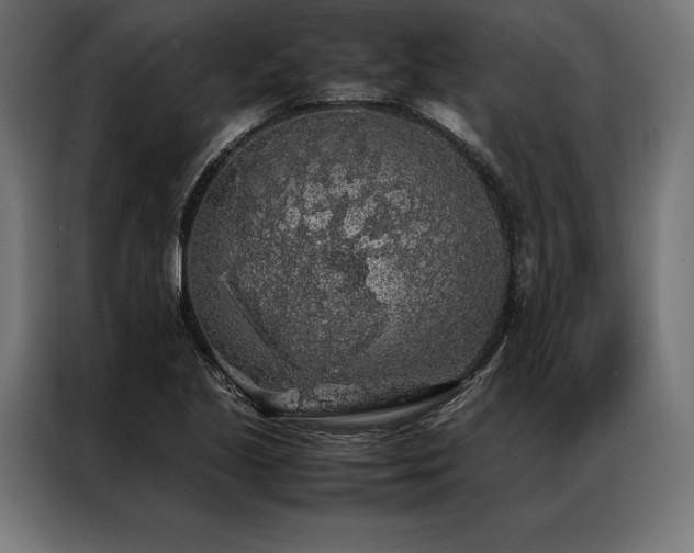 X0000087021221200704161555