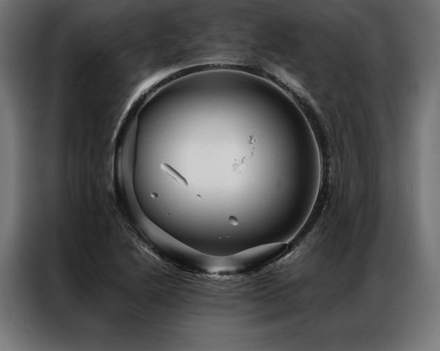X0000087021222200704161555