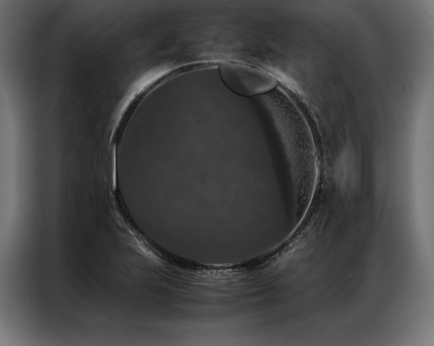 X0000087021223200704161555