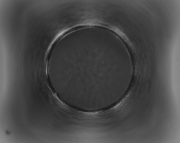 X0000087021224200704161555
