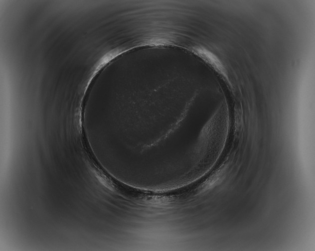 X0000087021226200704161555