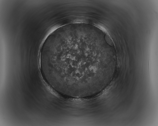 X0000087021227200704161555