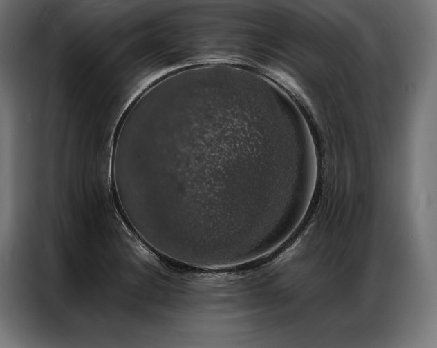 X0000087021228200704161555
