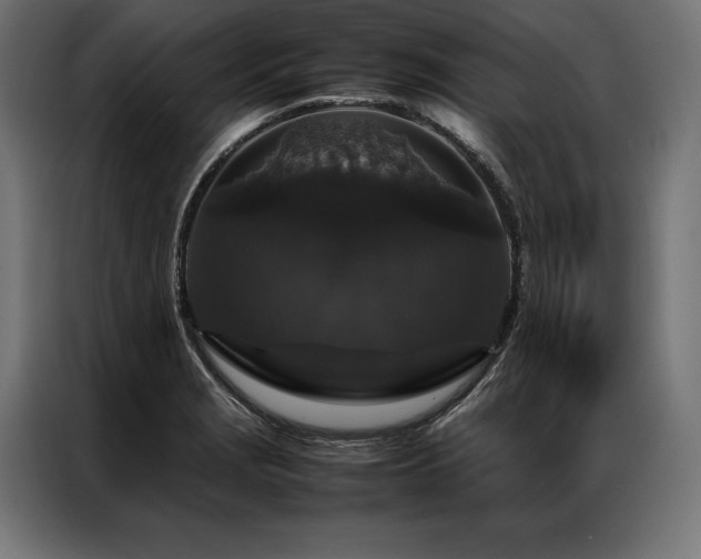 X0000087021229200704161555