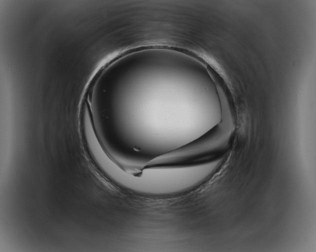 X0000087021230200704161555