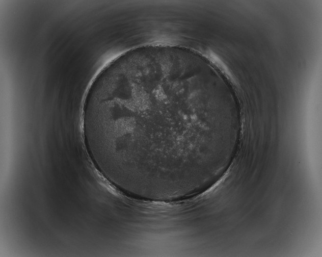 X0000087021232200704161555