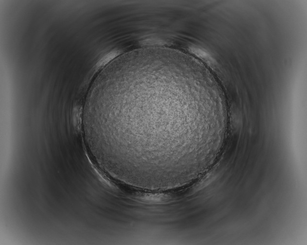 X0000087021233200704161555