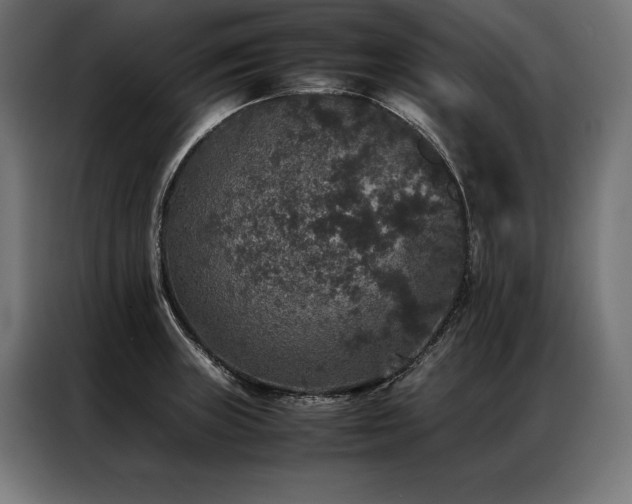 X0000087021235200704161555