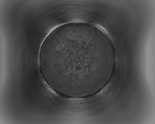 X0000087021236200704161555