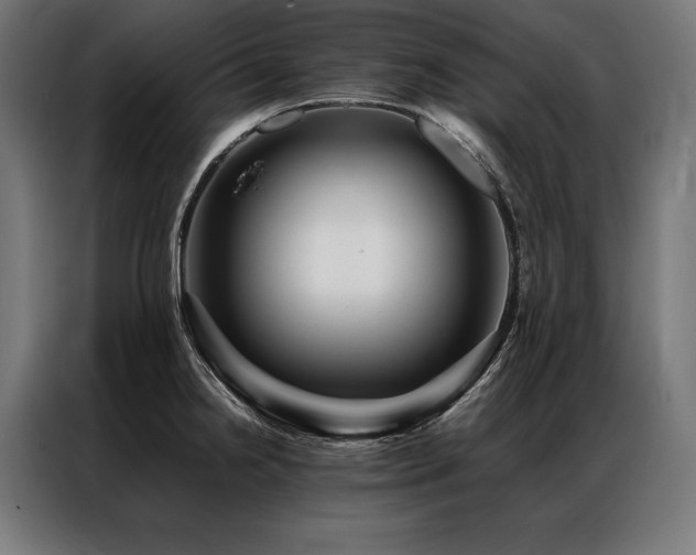 X0000087021238200704161555