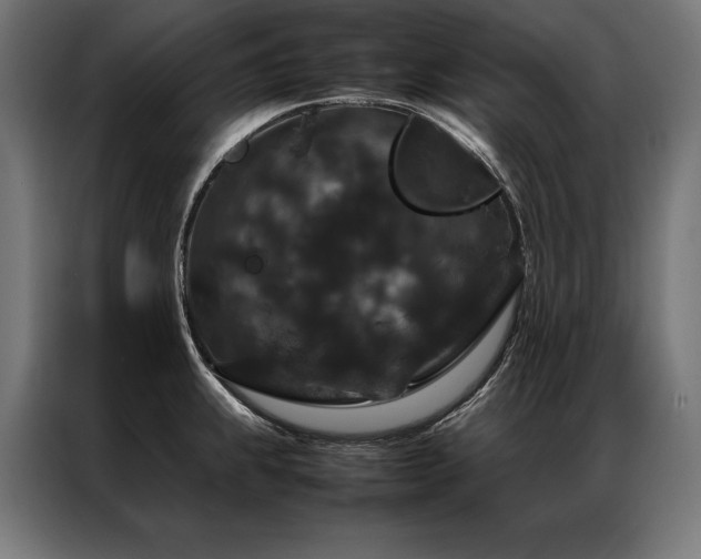 X0000087021239200704161555
