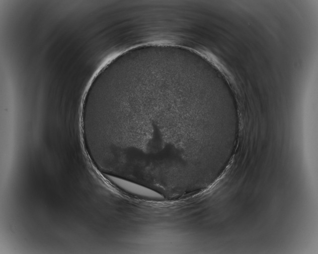 X0000087021240200704161555