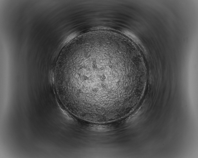 X0000087021241200704161555