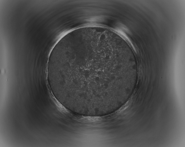 X0000087021244200704161555