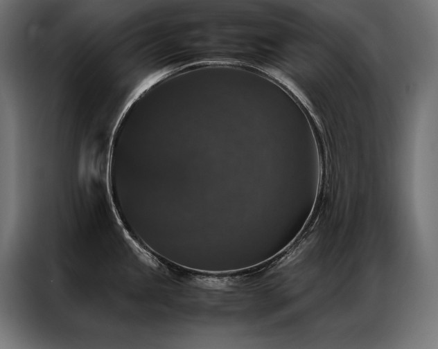 X0000087021245200704161555