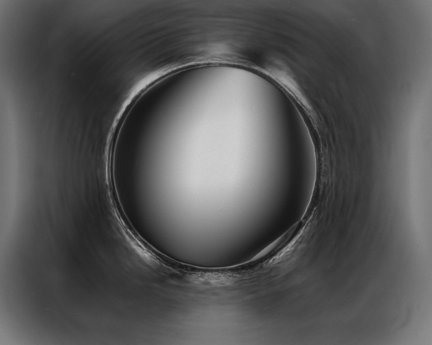 X0000087021246200704161555