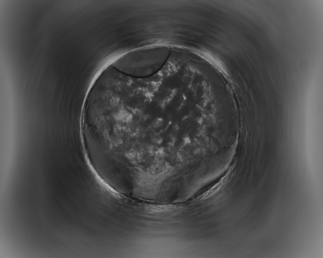 X0000087021247200704161555