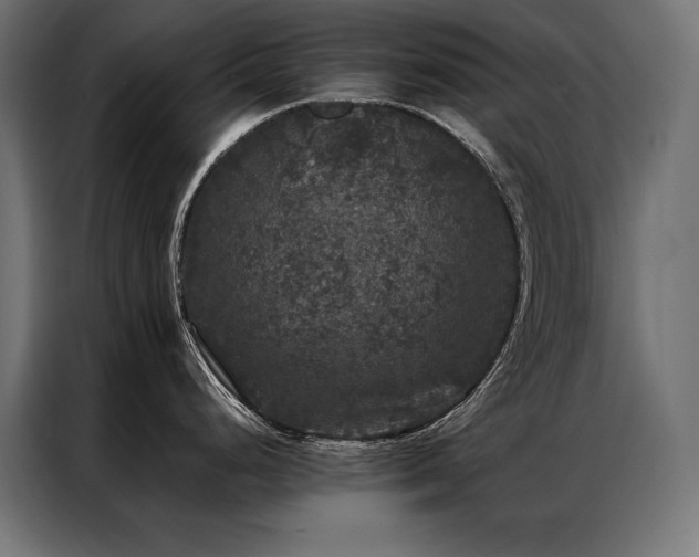 X0000087021248200704161555