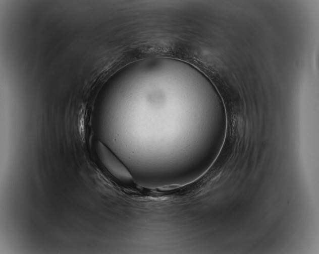 X0000087021250200704161555