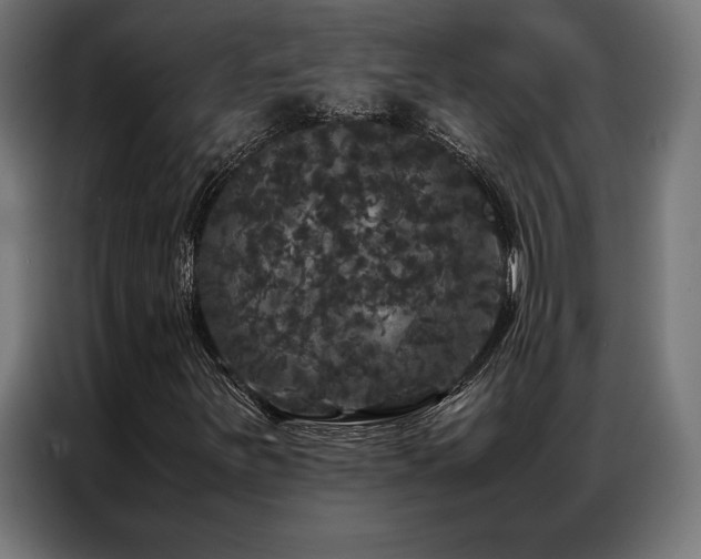 X0000087021251200704161555
