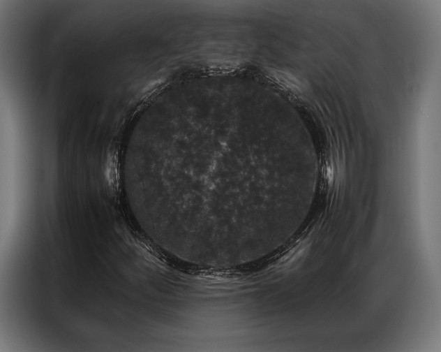 X0000087021252200704161555