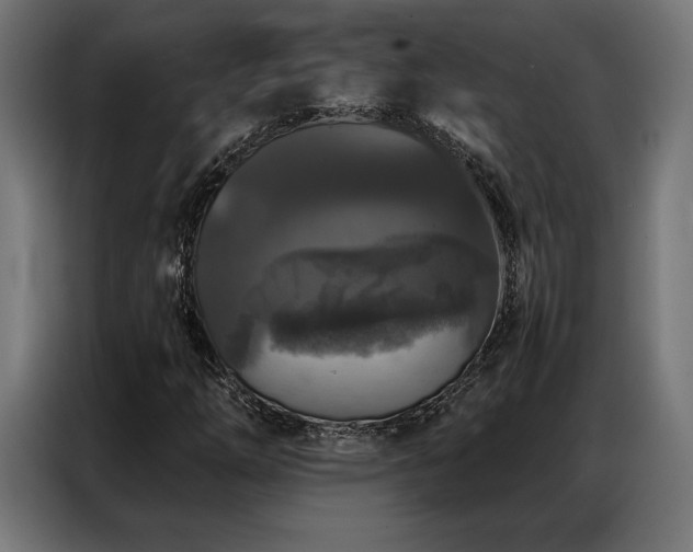 X0000087021254200704161555
