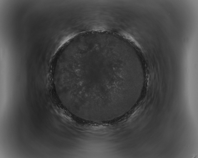 X0000087021256200704161555